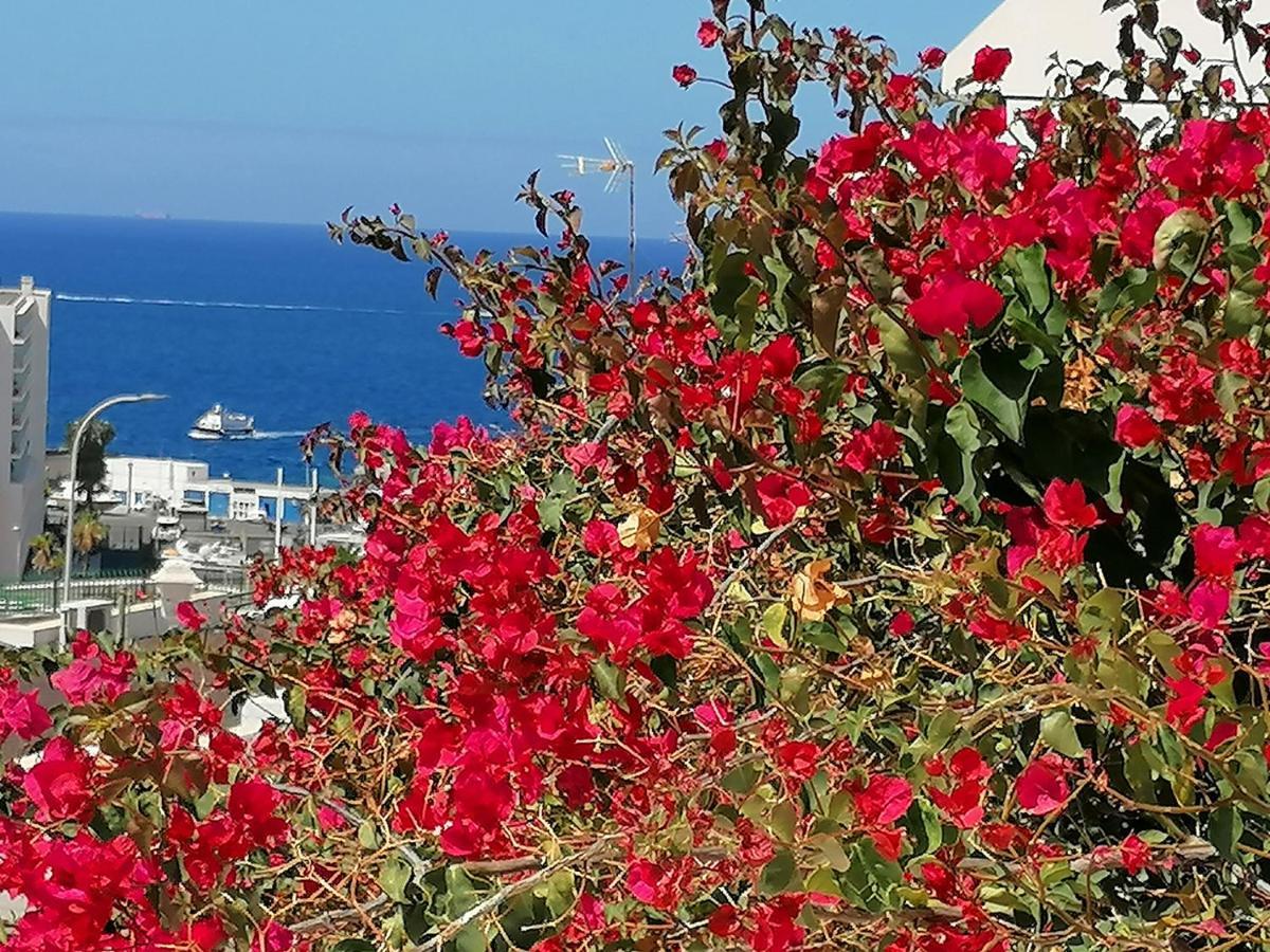 Marianela Apartment Puerto Rico  Dış mekan fotoğraf